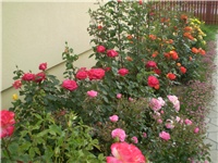 02db0ec6-Picture 127.jpg